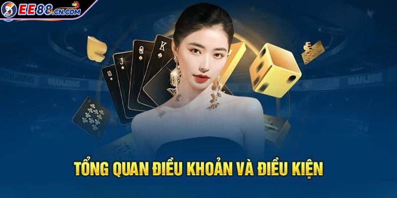 Điều khoản sử dụng EE88 và tầm quan trọng không thể bỏ qua